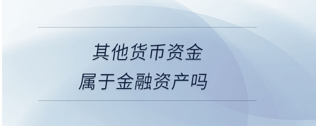 其他貨幣資金屬于金融資產(chǎn)嗎