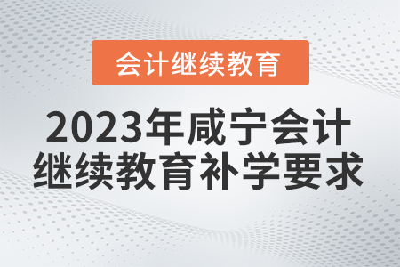 2023年咸寧東奧會計繼續(xù)教育補學要求