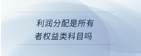利潤分配是所有者權(quán)益類科目嗎