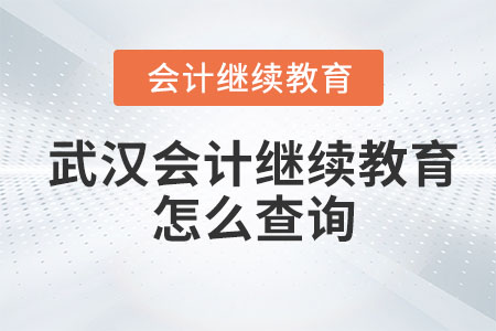 2023年武漢會(huì)計(jì)繼續(xù)教育怎么查詢？