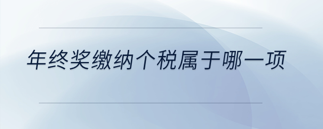 年終獎(jiǎng)繳納個(gè)稅屬于哪一項(xiàng)？
