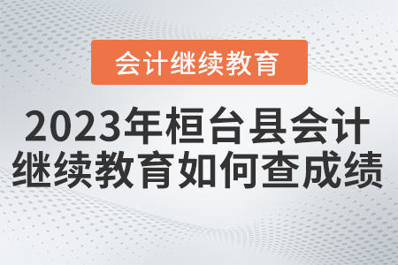 桓臺縣2023年會計繼續(xù)教育如何查成績？
