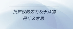 抵押權的效力及于從物是什么意思