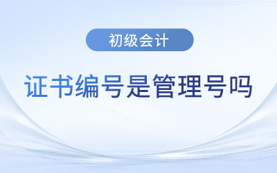 初級(jí)會(huì)計(jì)專(zhuān)業(yè)技術(shù)資格證書(shū)號(hào)是管理號(hào)嗎？