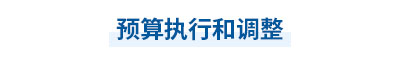 2023年中級會計經(jīng)濟法第七章思維導圖：預算執(zhí)行和調整