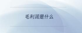 毛利潤(rùn)是什么