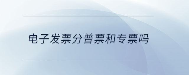 電子發(fā)票分普票和專票嗎