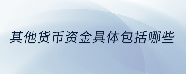其他貨幣資金具體包括哪些？