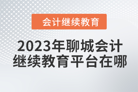 2023年聊城會(huì)計(jì)人員繼續(xù)教育平臺(tái)在哪？
