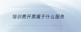 培訓(xùn)費(fèi)開票屬于什么服務(wù)