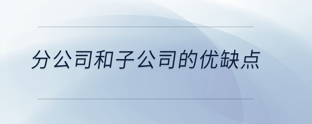 分公司和子公司的優(yōu)缺點(diǎn)？