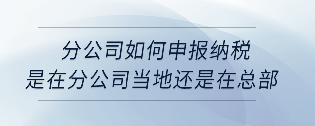 分公司如何申報(bào)納稅？是在分公司當(dāng)?shù)剡€是在總部？