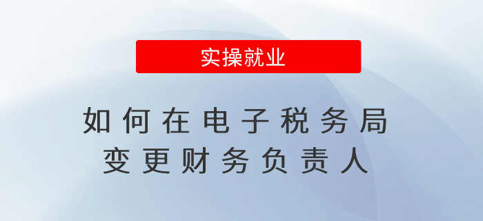 如何在電子稅務(wù)局變更財(cái)務(wù)負(fù)責(zé)人？