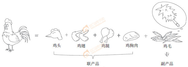 初級會計實務(wù)漫畫