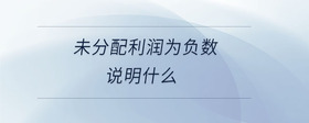 未分配利潤為負(fù)數(shù)說明什么