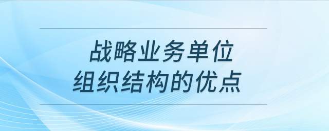 戰(zhàn)略業(yè)務單位組織結構的優(yōu)點