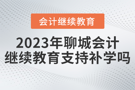 2023年聊城市會計人員繼續(xù)教育平臺支持補學嗎？