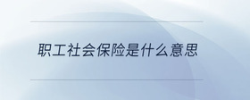 職工社會保險是什么意思