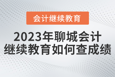 2023年聊城市會(huì)計(jì)人員繼續(xù)教育平臺(tái)如何查成績(jī)？