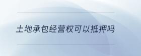 土地承包經(jīng)營(yíng)權(quán)可以抵押?jiǎn)?>
                          </div>
                          <div   id=