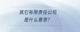 其它有限責(zé)任公司是什么意思?