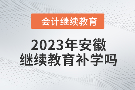 2023年安徽會計繼續(xù)教育可以補學嗎？