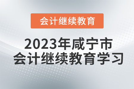 2023年湖北省咸寧市會計(jì)繼續(xù)教育學(xué)習(xí)