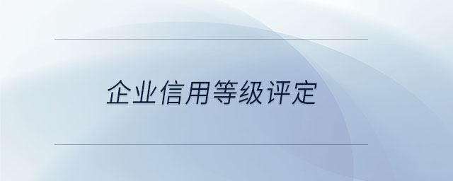 企業(yè)信用等級評定