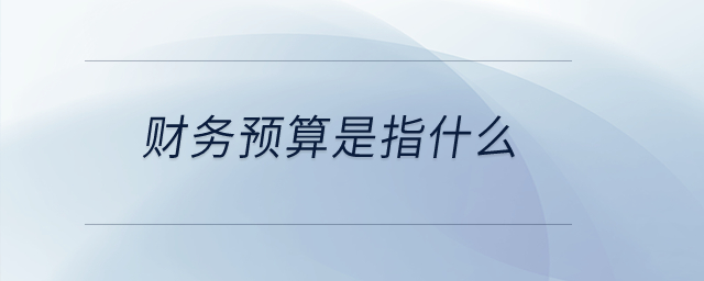 財務(wù)預(yù)算是指什么？