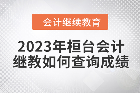 2023年桓臺會計繼續(xù)教育如何查詢成績？