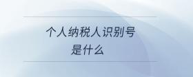 個(gè)人納稅人識(shí)別號(hào)是什么