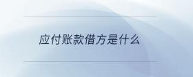 應(yīng)付賬款借方是什么