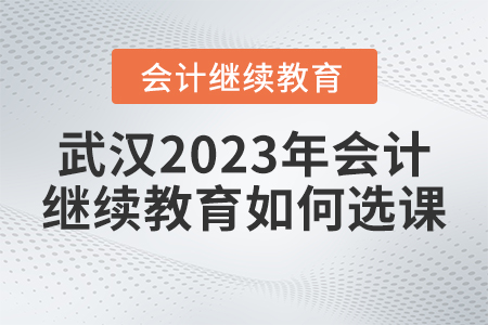 武漢2023年會計繼續(xù)教育如何選課？