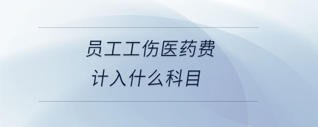 員工工傷醫(yī)藥費(fèi)計入什么科目