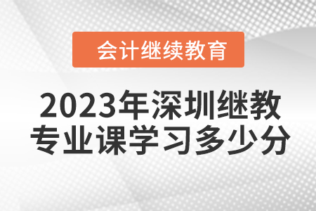 2023年深圳會(huì)計(jì)繼續(xù)教育專業(yè)課學(xué)習(xí)多少分？