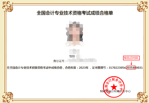 初級會(huì)計(jì)職稱考試