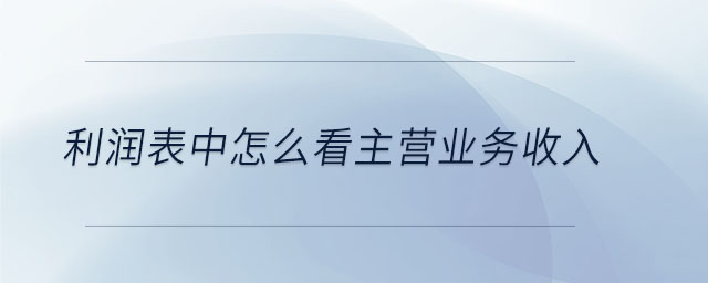 利潤(rùn)表中怎么看主營(yíng)業(yè)務(wù)收入