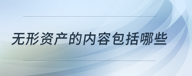 無(wú)形資產(chǎn)的內(nèi)容包括哪些