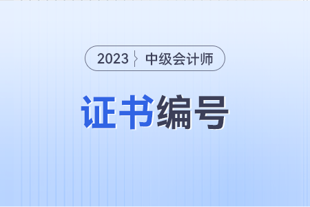 中級會(huì)計(jì)證編號在哪里可以查到？