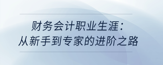財務(wù)會計職業(yè)生涯：從新手到專家的進階之路