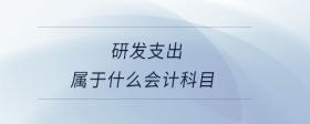 研發(fā)支出屬于什么會計科目