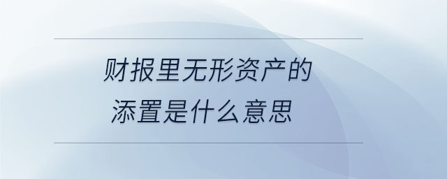 財(cái)報(bào)里無形資產(chǎn)的添置是什么意思