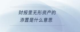 財報里無形資產(chǎn)的添置是什么意思