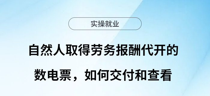 自然人取得勞務(wù)報(bào)酬代開的數(shù)電票，如何交付和查看？