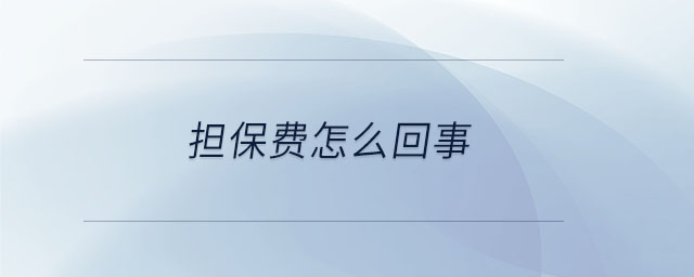 擔保費怎么回事