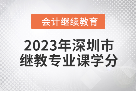 2023年深圳市會計繼續(xù)教育專業(yè)課學分要求