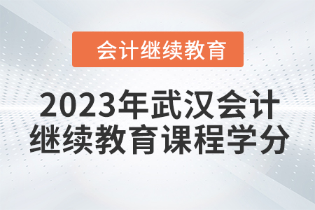 2023年武漢會計人員繼續(xù)教育課程學(xué)分