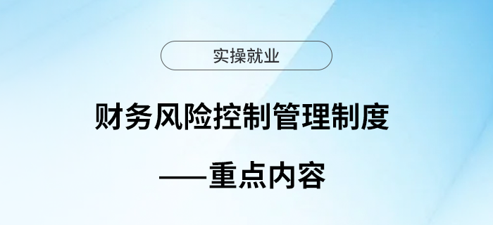 財務(wù)風(fēng)險控制管理制度——重點內(nèi)容