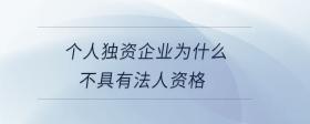個(gè)人獨(dú)資企業(yè)為什么不具有法人資格