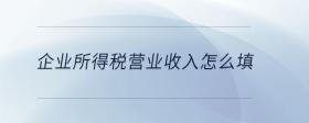 企業(yè)所得稅營業(yè)收入怎么填